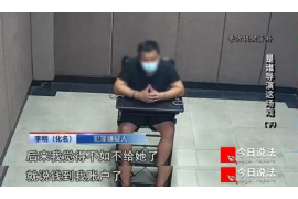 新河债务清欠服务