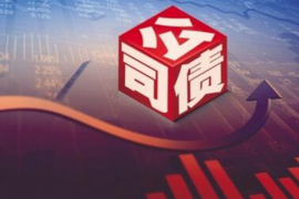 新河债务清欠服务